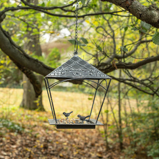 Aged Black Bird Feeder with Two Little Birds