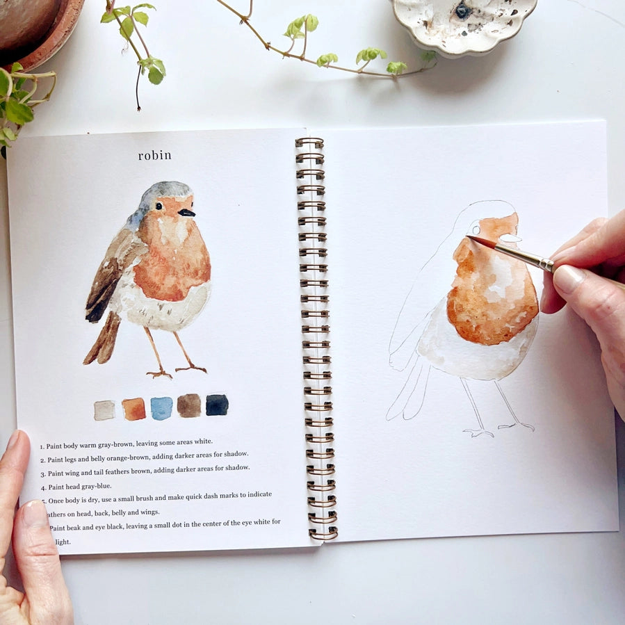 Aazon.co: Watercolor Workbooks, Beginner-Friendly Watercolor