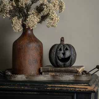 Baby Big Mouth Pumpkin - Black