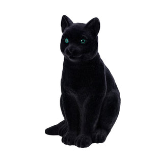 The Black Cat