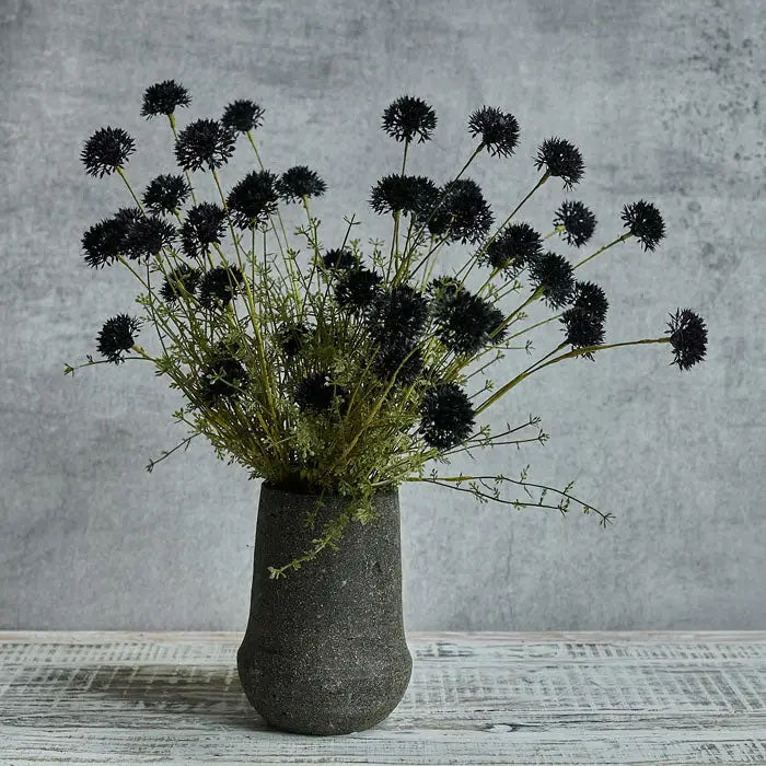 Melaleuca Noir Flower Stem