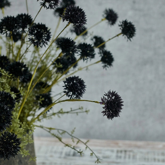 Melaleuca Noir Flower Stem