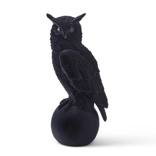 The Black Owl