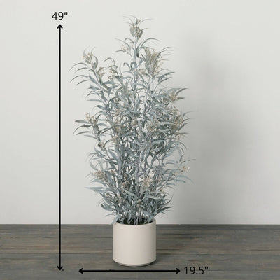 49" Potted Blade Eucalyptus Tree