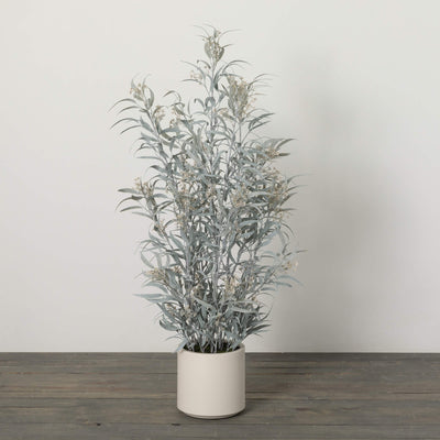 49" Potted Blade Eucalyptus Tree