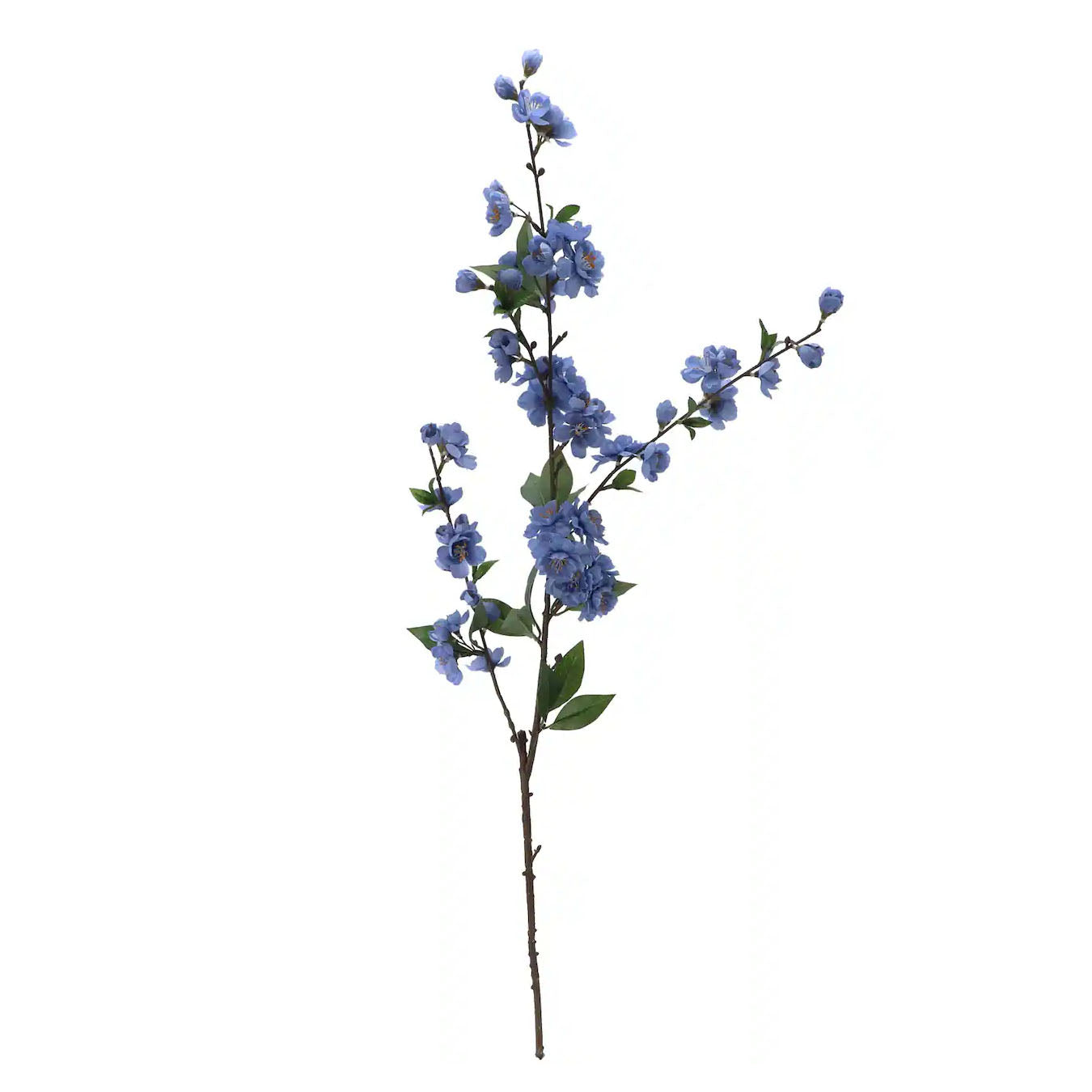 Blue Blossom Stem