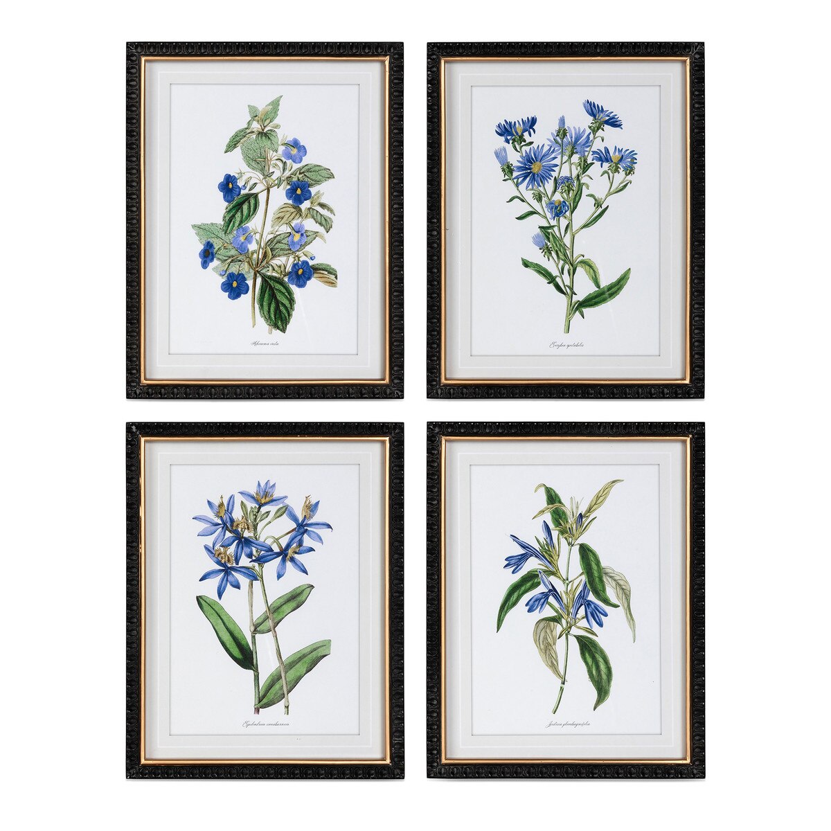 Set of 4 Summer Blues Floral Prints