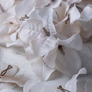 34" Bougainvillea Blush Stem