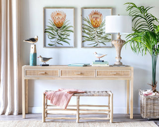 The Seagull Collection - Choose Your Favorite Style