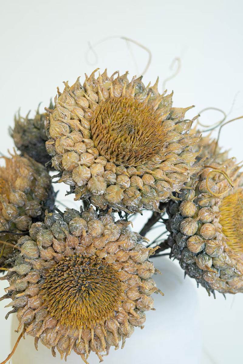 20" Rustic Pod Cluster Flower - Gold