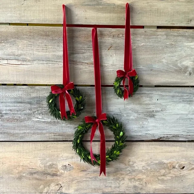 Set of 3 Preserved Boxwood and Cedar Wreaths with Ribbon