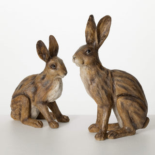 The Brown Bunny - Choose Size
