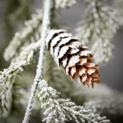 13.5" Frosted Winter Pine Branch