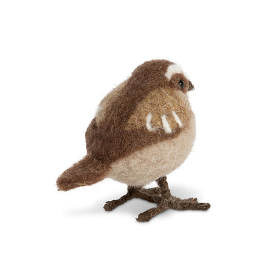 Wool Brown Wren Bird
