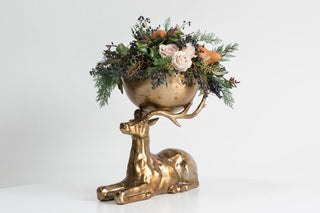 The Buck Bowl