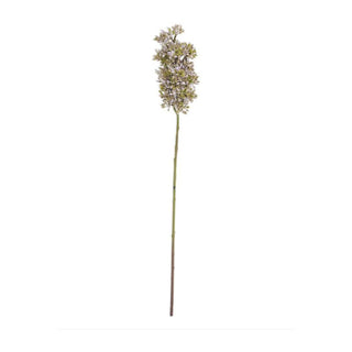 Budding Lilac Stem
