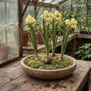 19.5" Real Touch Daffodils Bulb Pick