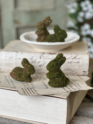 Hare Hollow Bag-O-Bunnies