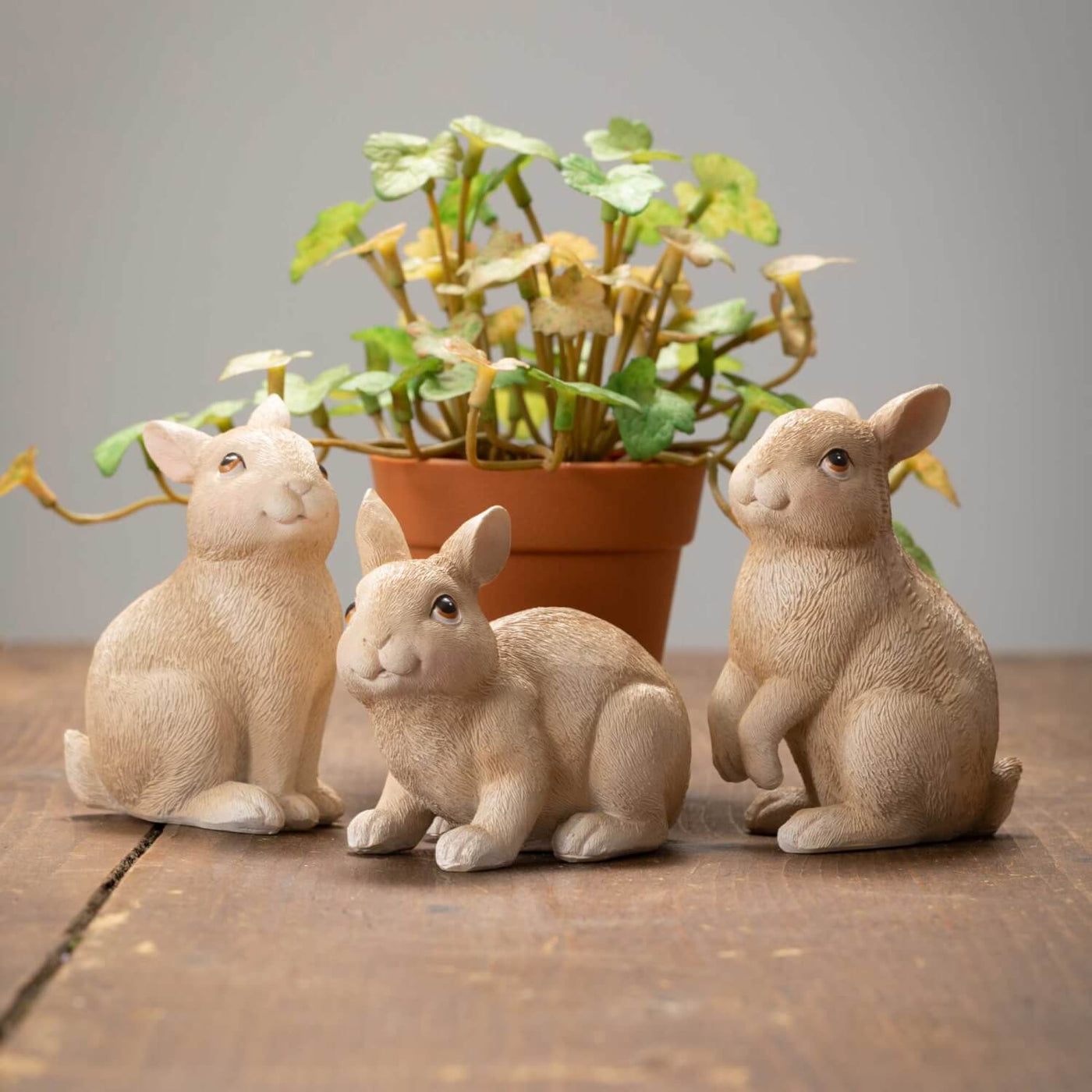 Set of 3 Bunnies