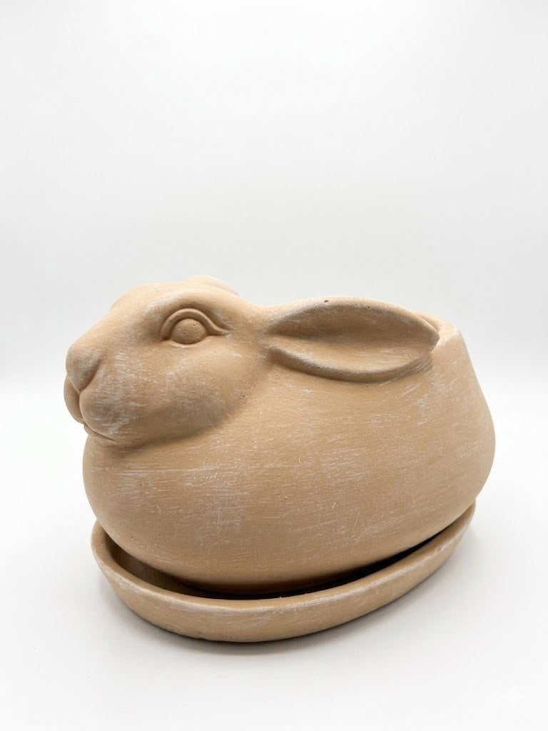 The Cement Bunny Planter with Tray – Cotton & Crete