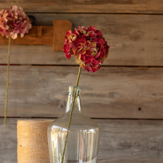 Burgandy Green Hydrangea Stem