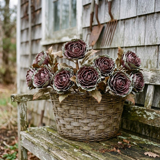 27" Purple & Green Autumn Cabbage Branch