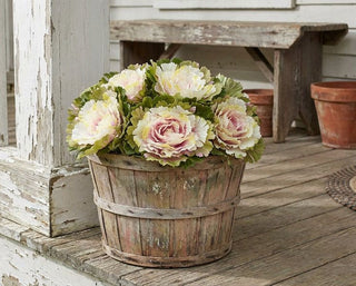 11.5" Pink and Green Cabbage Bundle