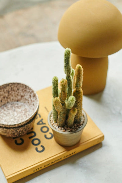 Real Touch Cereus Cactus in Pot