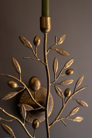 Antique Brass Fruit Tree Taper Wall Sconce