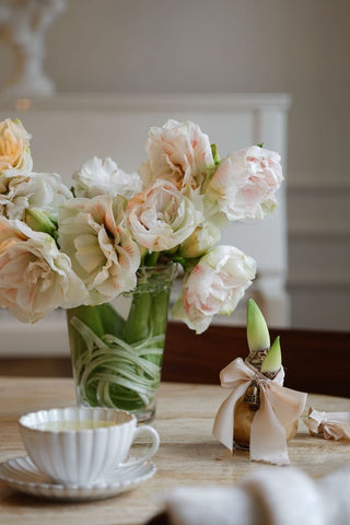 Bergs Potter The Kobenhavner Vase Clear - Choose Size