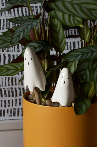 Casper Plant Sticks - Set of 2