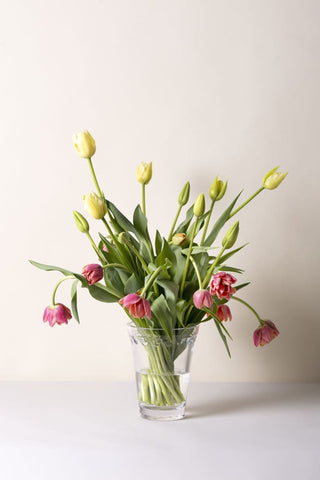 Bergs Potter The Kobenhavner Vase Clear - Choose Size