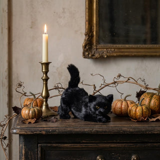 Pouncing Black Cat