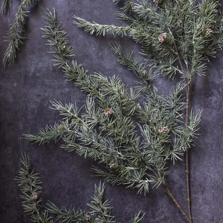 44" Cedar Branch