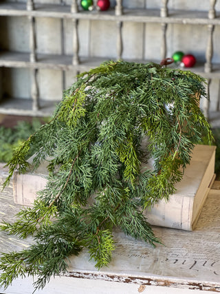 31" Verdant Cedar Hanging Stem