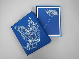 Sunprint Notecards