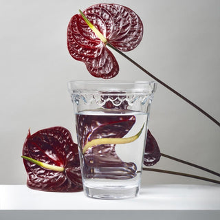 Bergs Potter The Kobenhavner Vase Clear - Choose Size