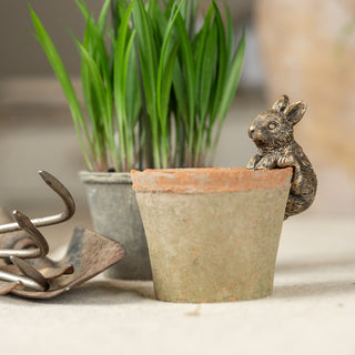 Gold Climbing Bunny Pot Hugger