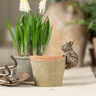 Gold Climbing Bunny Pot Hugger