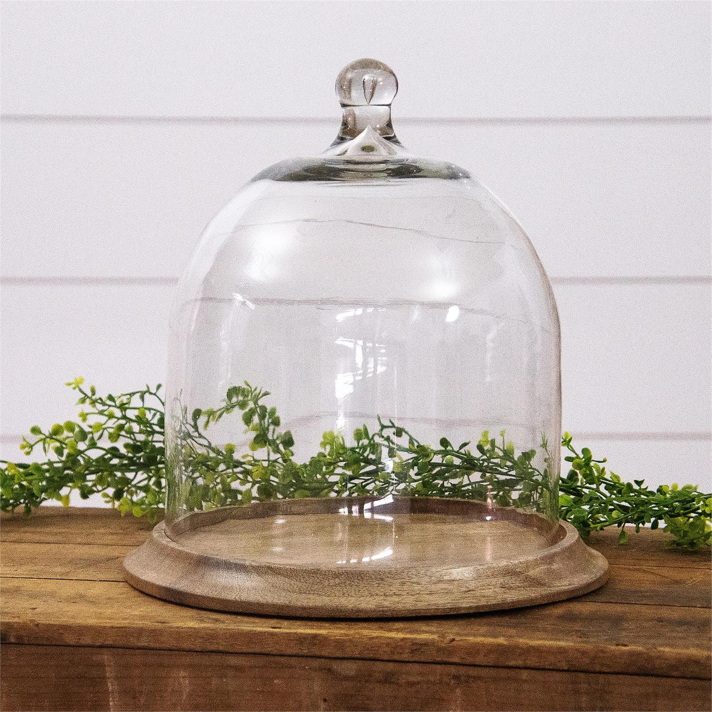 12" Glass Cloche with Wood Base