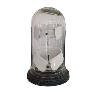 Gentleman's Collar Displayed Under Glass Dome