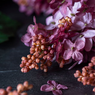 32" Cone Hydrangea Stem - Sunset