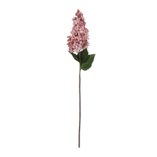 32" Cone Hydrangea Stem - Sunset