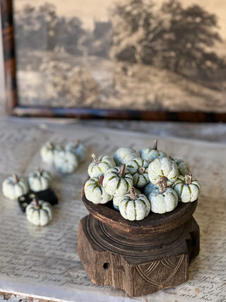 Copperfield Pumpkins - Green