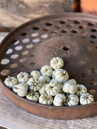 Copperfield Pumpkins - Green