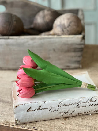 Poppet Tulip Bundle - Choose Color