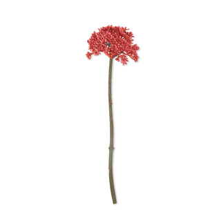 12" Coral Seedum Stem