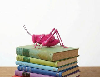 The Pink Cricket