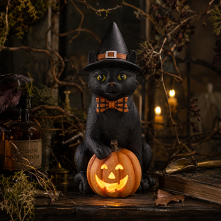 Witch Hat Black Cat & LED Jack O’ Lantern with Timer