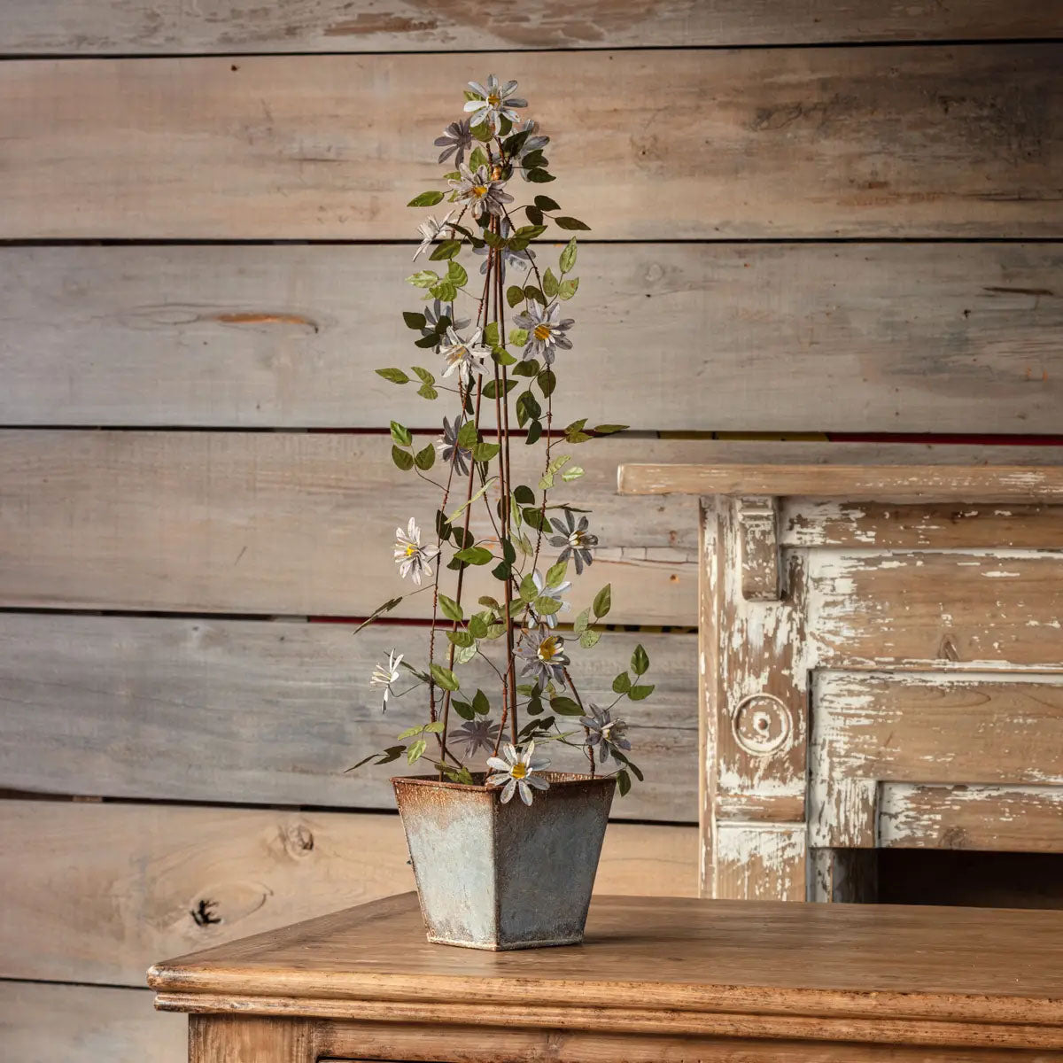 wood clematis trellis French Wire Clematis Trellis